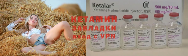 шишки Абаза