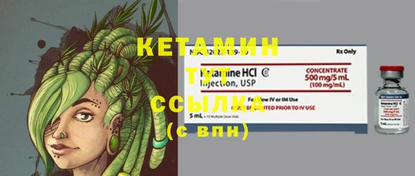 шишки Абаза