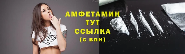 шишки Абаза