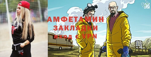 шишки Абаза