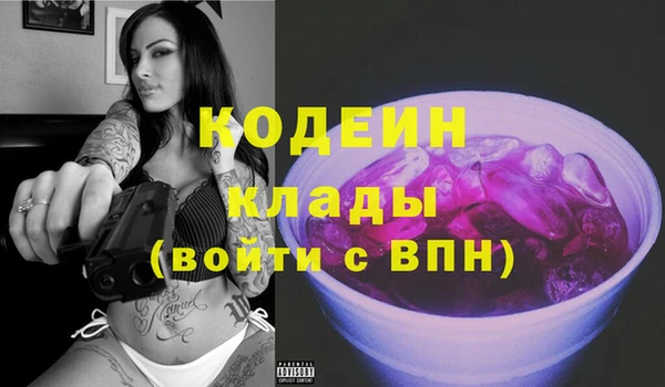 шишки Абаза